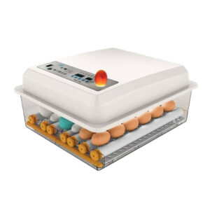 16-Egg Milano Automatic Incubator – Auto Turning, Humidity Control & LED Candling Lamp