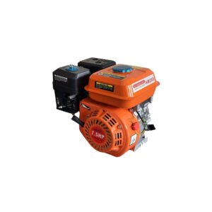 7.5HP Petrol Engine – 4-Stroke Industrial AstraMilano Italia
