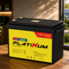 Platinum Lithium Battery