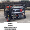 Premier PM9800ET 8.5KVA Petrol Generator with Key Start and Wheel - Image 2
